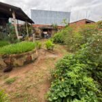 WhatsApp Image 2026-01-09 at 08.52.38